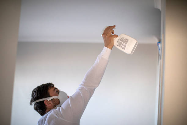 Best Crawl Space Mold Removal  in Lake Dallas, TX